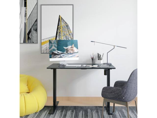 Black 48 x 24 Inches Height Adjustable Electric Sit Stand Desk X763703