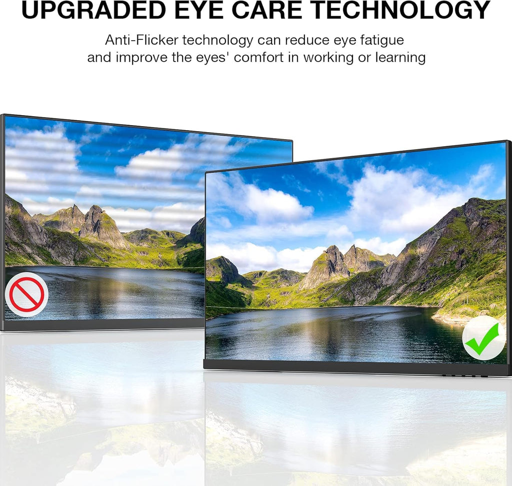 24 Inch FHD 1080p IPS 75Hz Computer Monitor B392