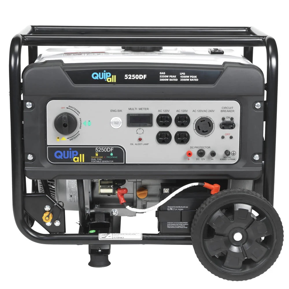 Portable Dual Fuel Gas Generator with Electric Start D590796