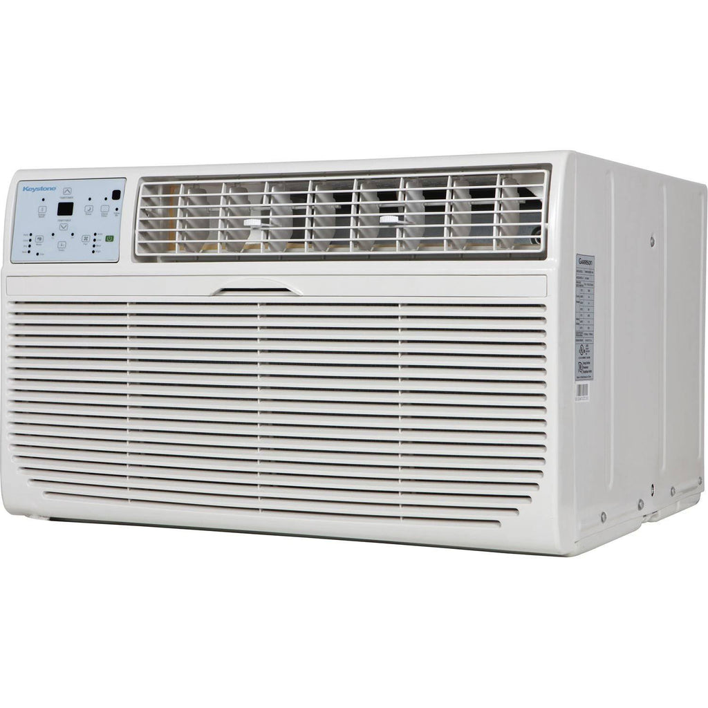 12,000 BTU 115V Through-the-Wall Air Conditioner with Remote C5699