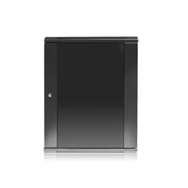 15U Wallmount Server Cabinet with 24-Port Cat6 Patch Panel Z14136