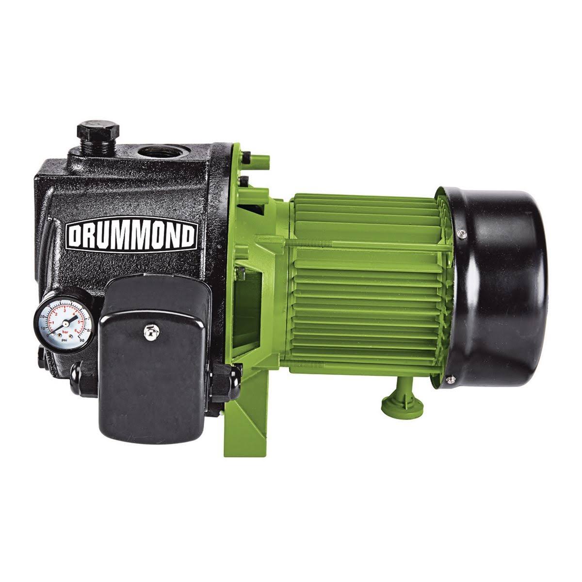 1 HP Cast Iron Shallow Well Pump B8719