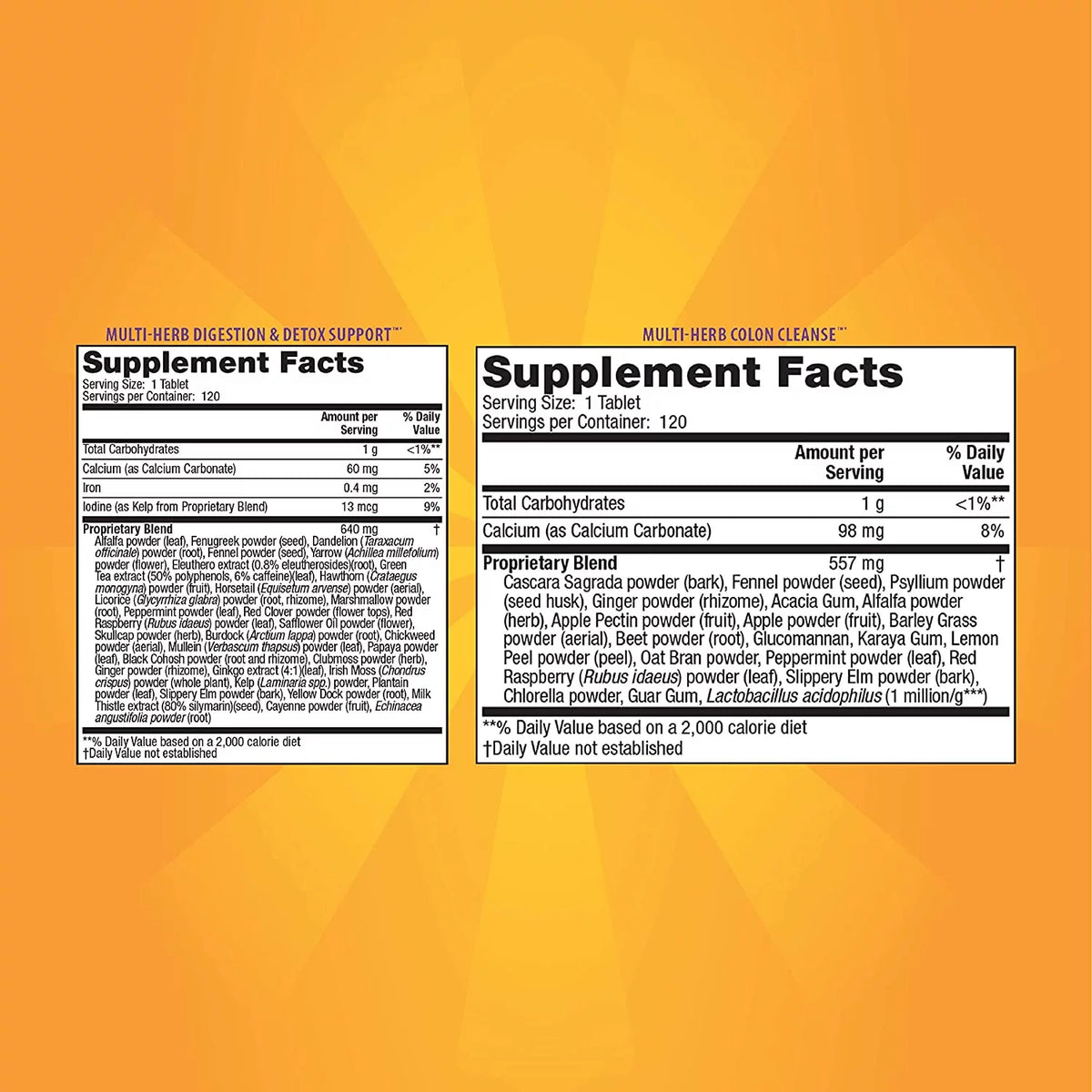 240 Tablets Total-Body Cleanse with Pill Case N2644