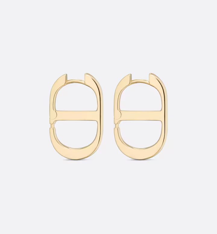 Earrings S5777