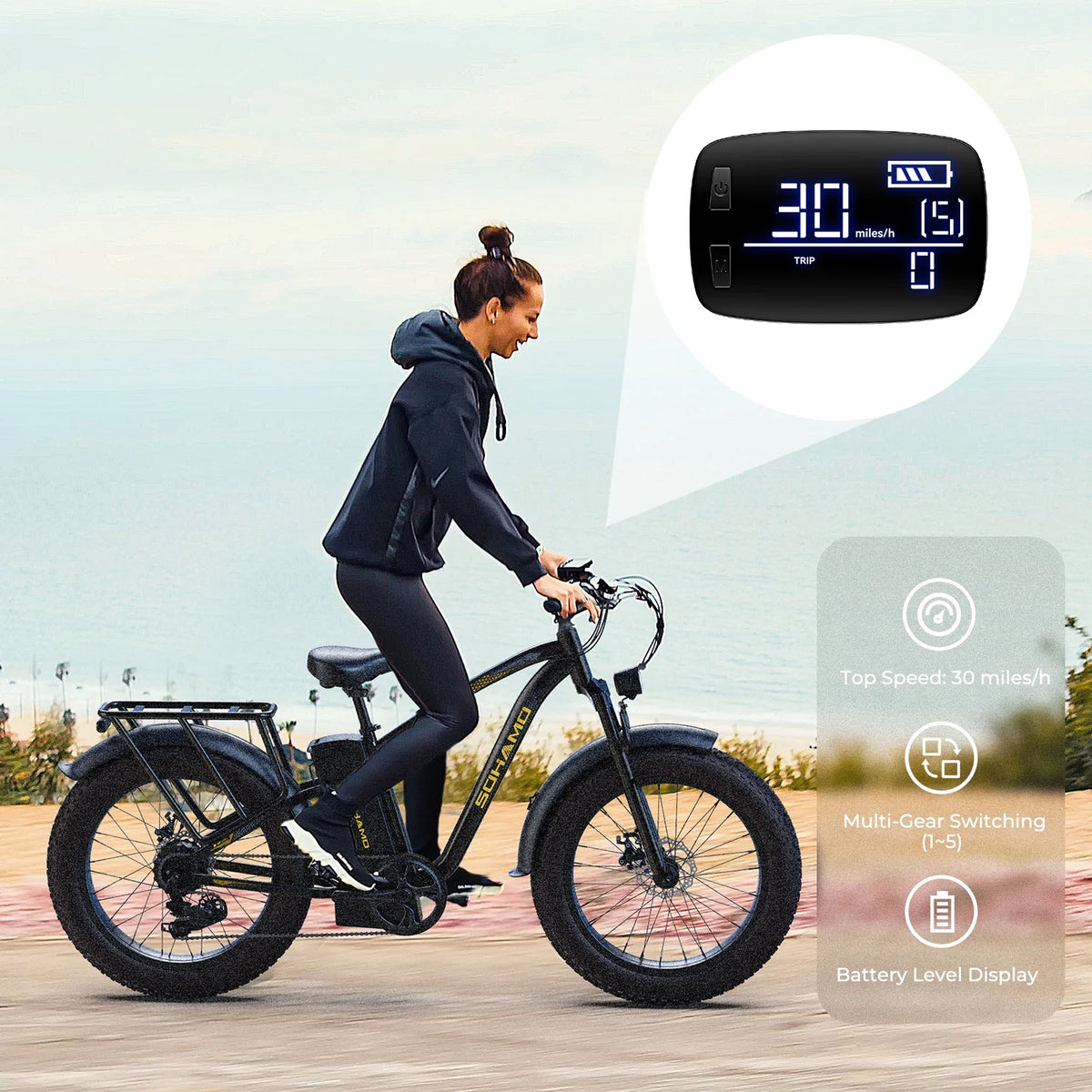750W 26 Fat Tire Electric Mountain Bike H1062