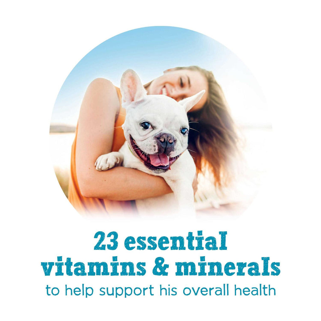 Wet Dog Food Z344