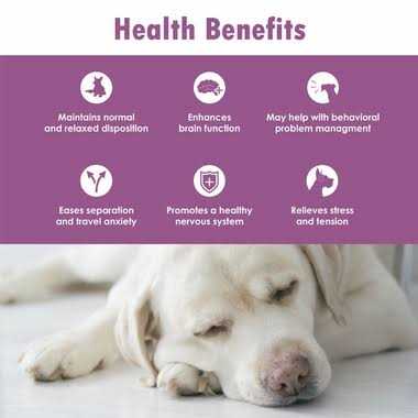 Dog Calming Tabs V600