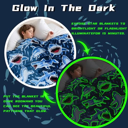 Glow in The Dark Shark Blanket 50x60 inch L73649