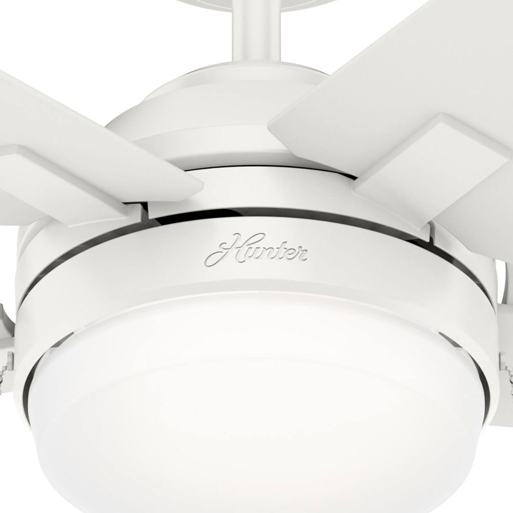 Brushed Nickel Indoor LED Ceiling Fan C2043