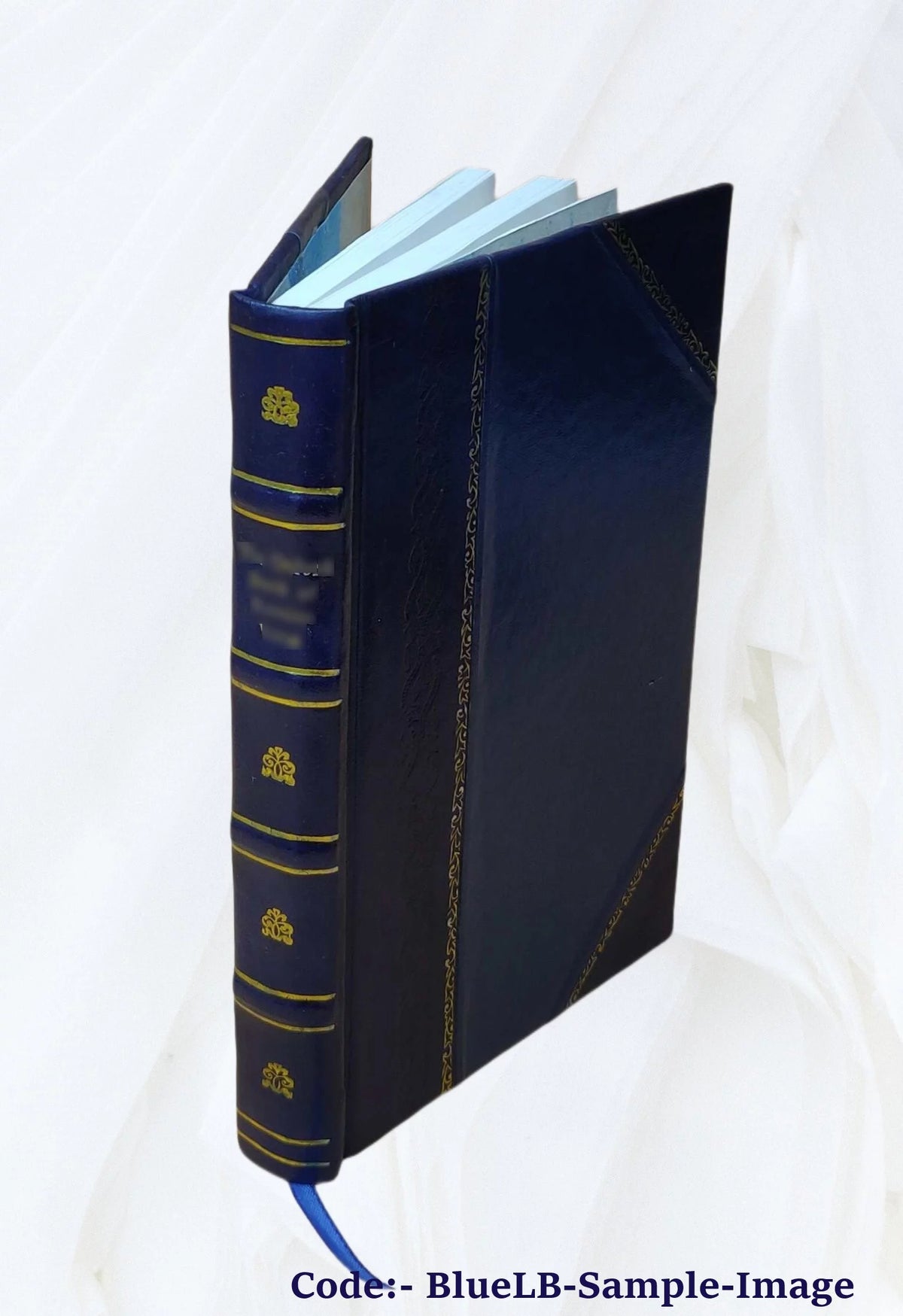 Leather Bound Books W5817