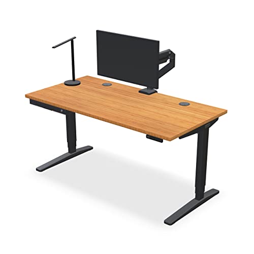 Bamboo Standing Desk 48 x 30 inch Adjustable Gray G694489