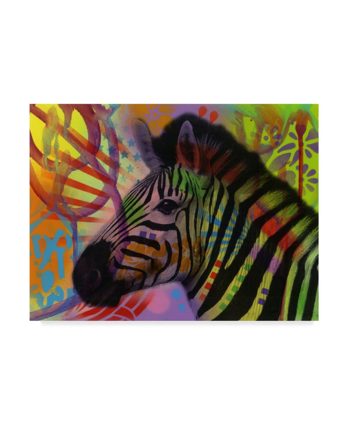 Zebra Canvas Art V34263