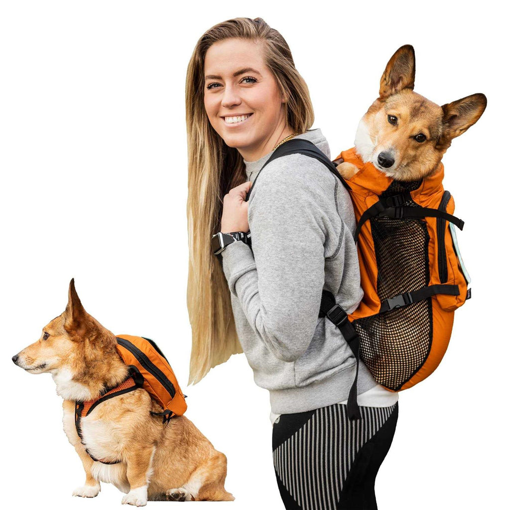 Pet Harness with Storage V3171
