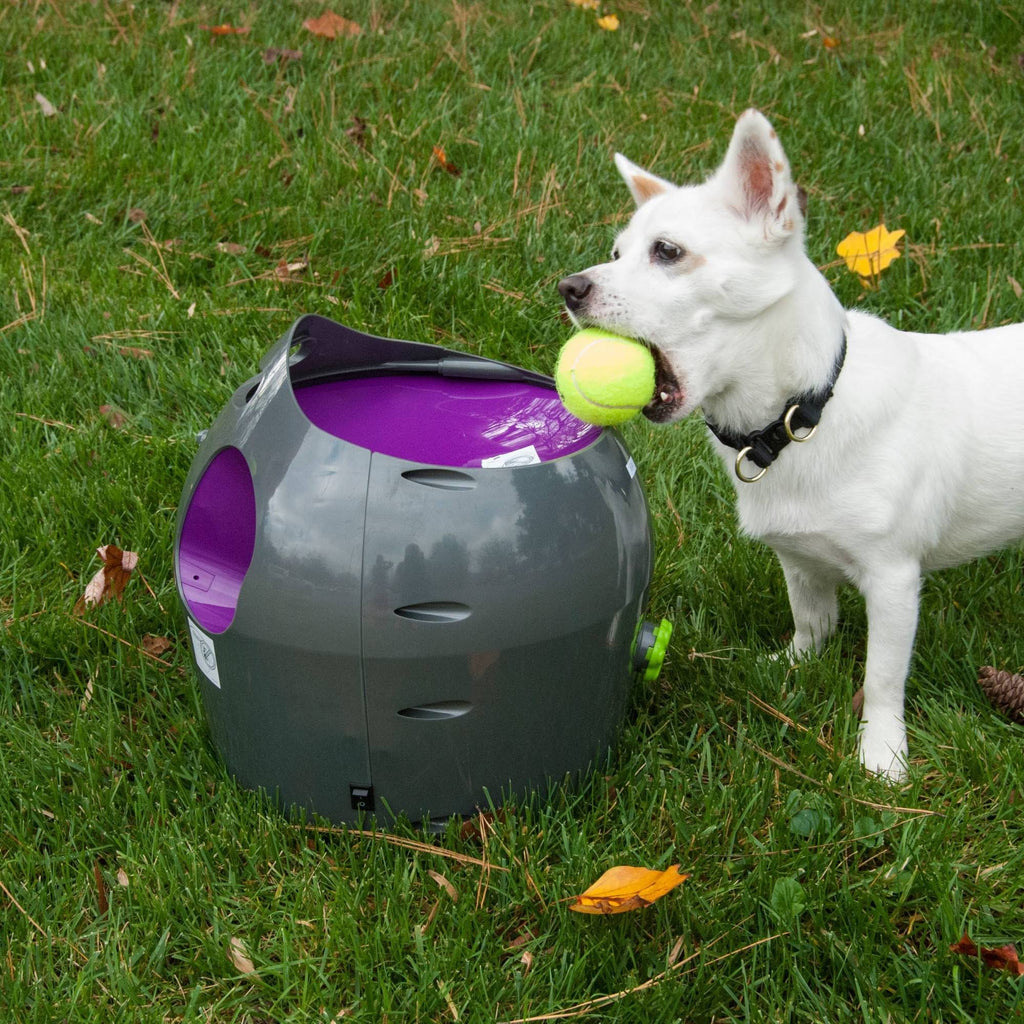 Automatic Ball Launcher E297312