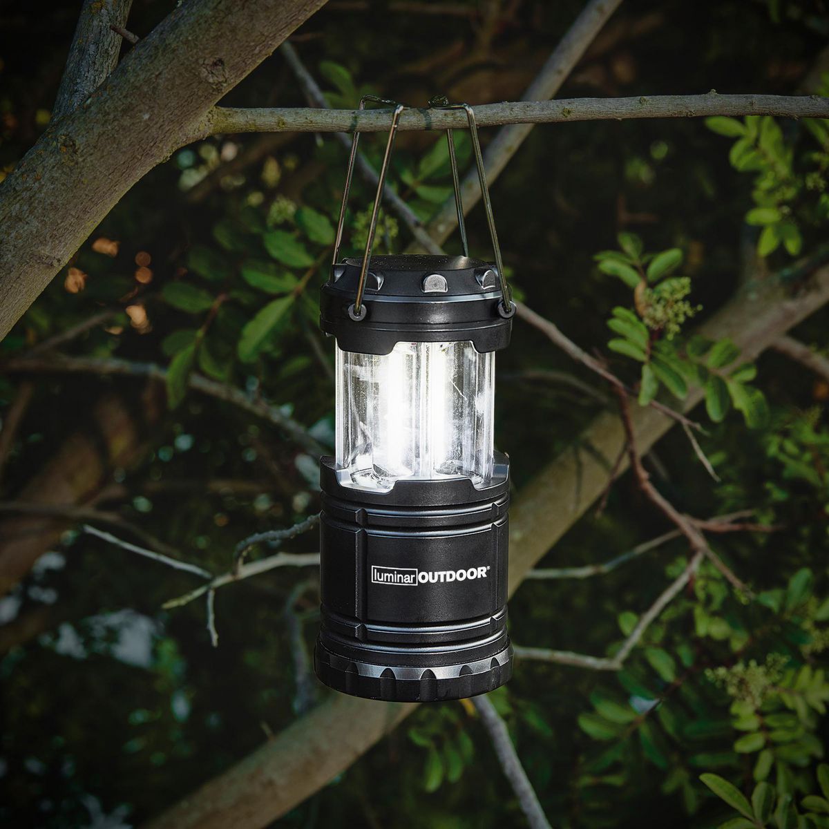 250 Lumen Pop-Up Lantern X87482