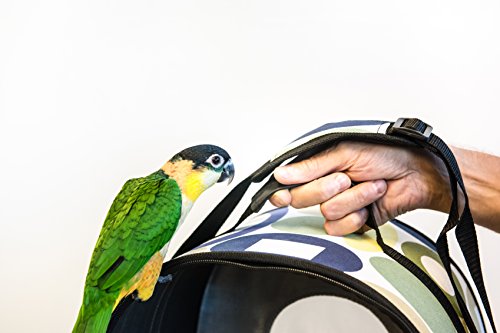Soft Sided Bird Travel Carrier with Perch Small Q66580