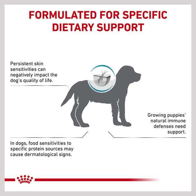 Hydrolyzed Protein Puppy Dry Dog Food D722743