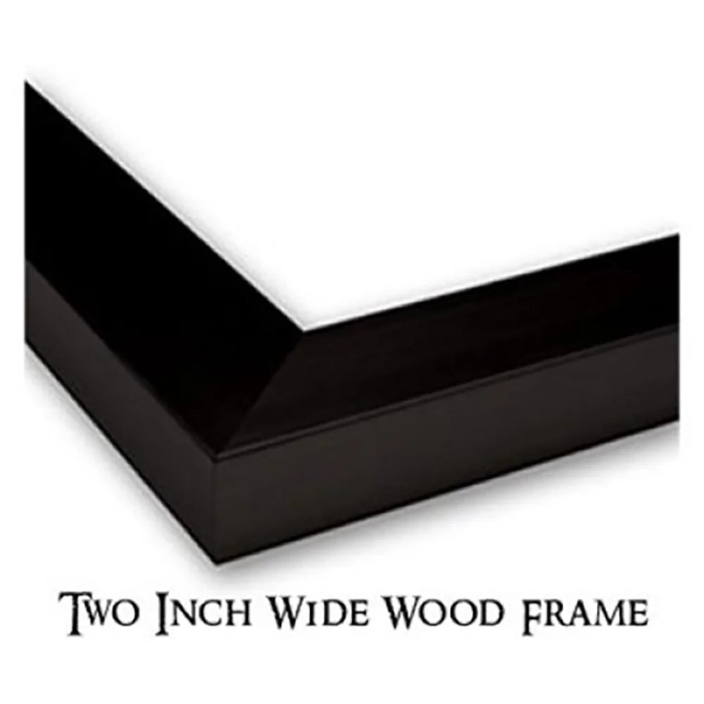 Black Modern Framed Museum Art Print K867707