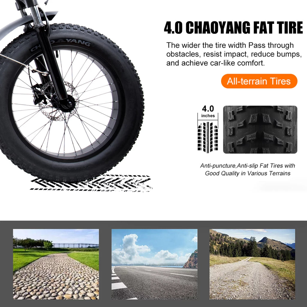 Folding Electric Mountain Bike 750W 20'' Aluminum Alloy 48V 12Ah 9 Speed P217