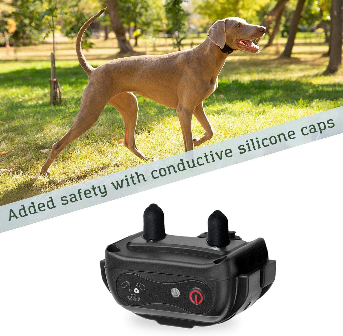 Waterproof Dog Training Shock Collar with Remote R369