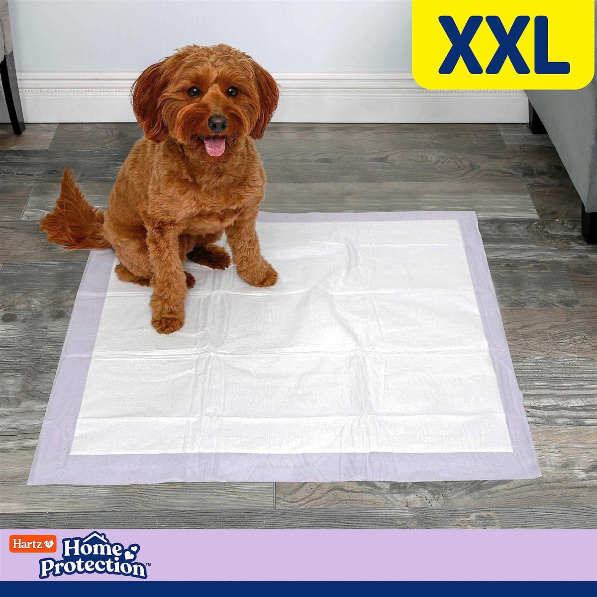 Lavender Scent Odor Eliminating Dog Pads K93499
