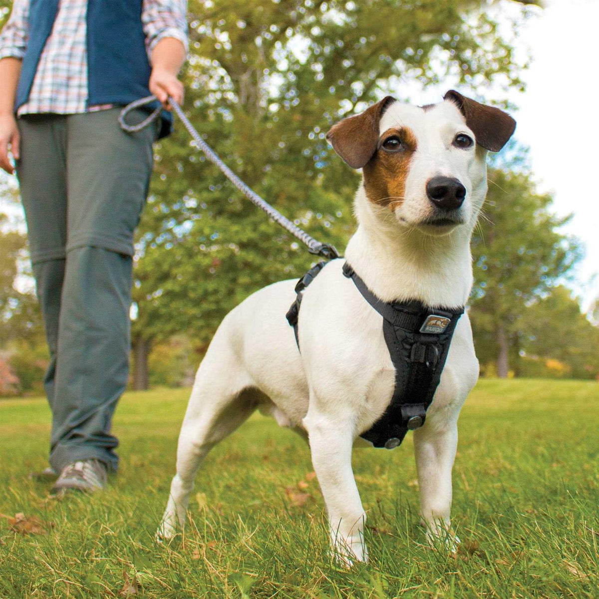 Tru Fit Smart Harness G662554