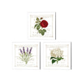 3 Piece Canvas Art Set 14 x 14 White K7932