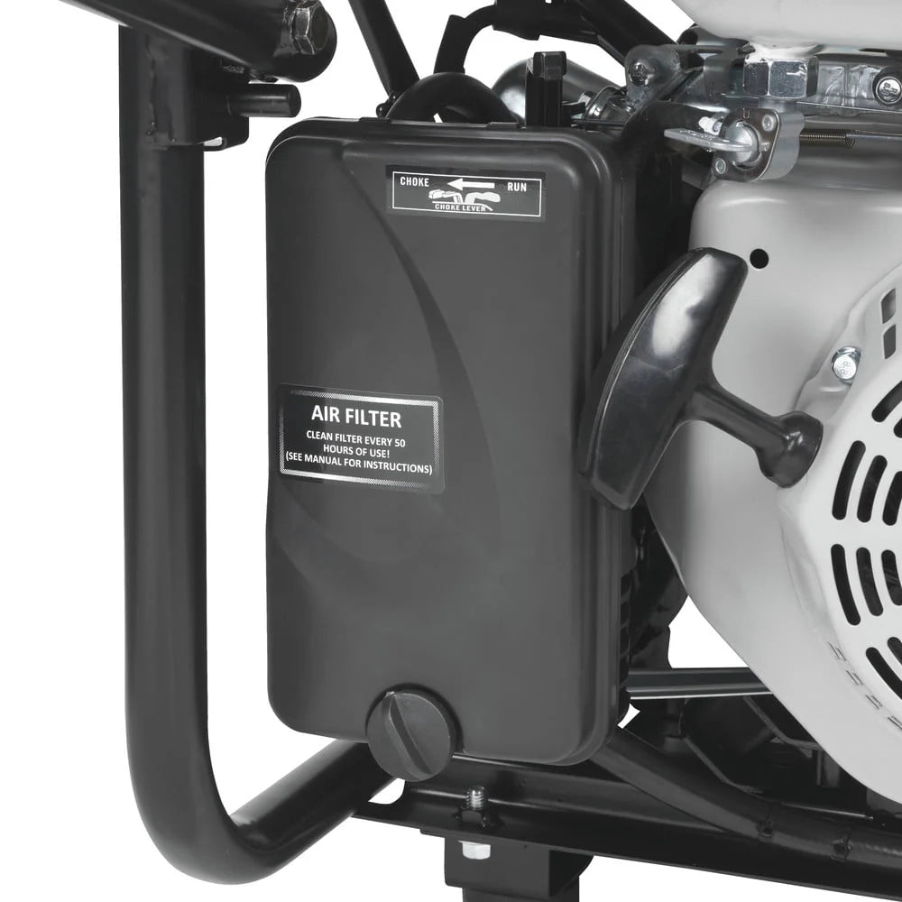 Portable Dual Fuel Gas Generator with Electric Start D590796