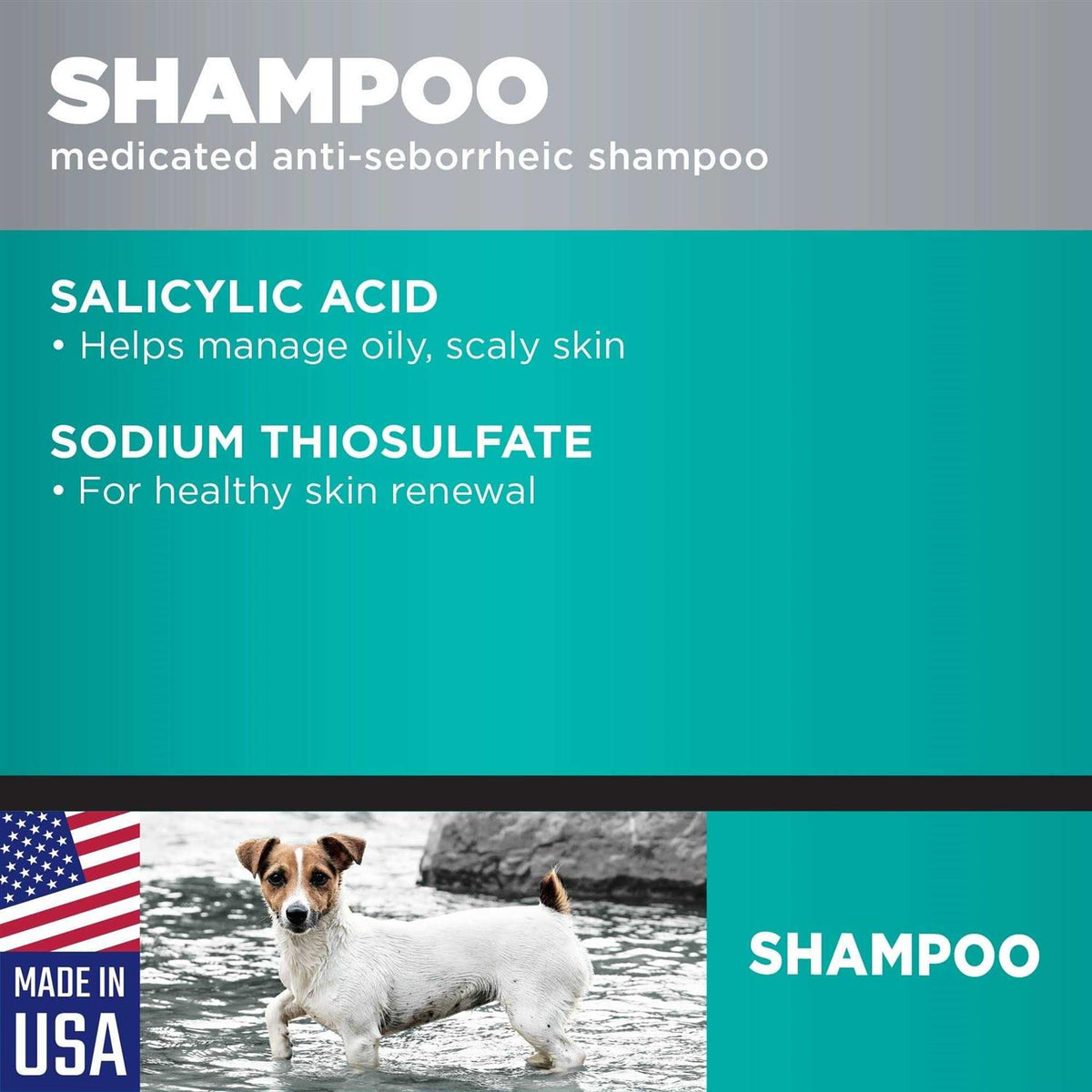 Medicated Anti-Seborrheic Dog Shampoo S58323