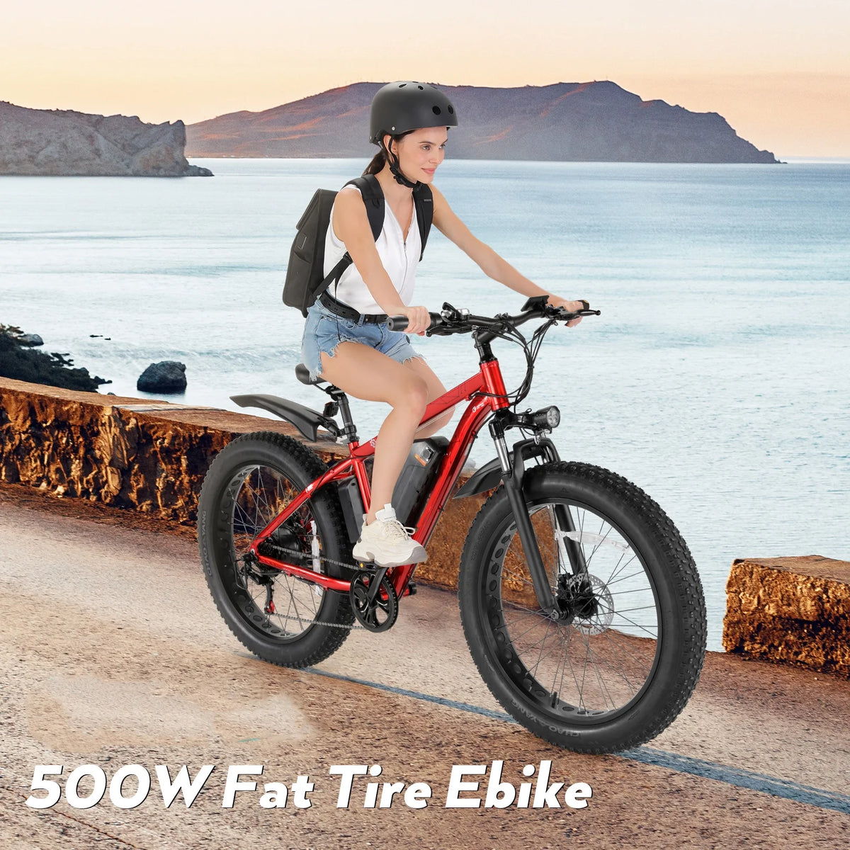 Electric Mountain Bicycle with 500W Motor and 48V Battery S538