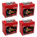 6V Deep Cycle Battery 4 Pack P1392