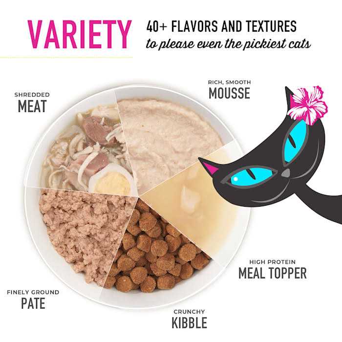 Chicken with Pumpkin Cat Food W348881