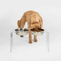 Clear Double Bowl Pet Feeder E38389