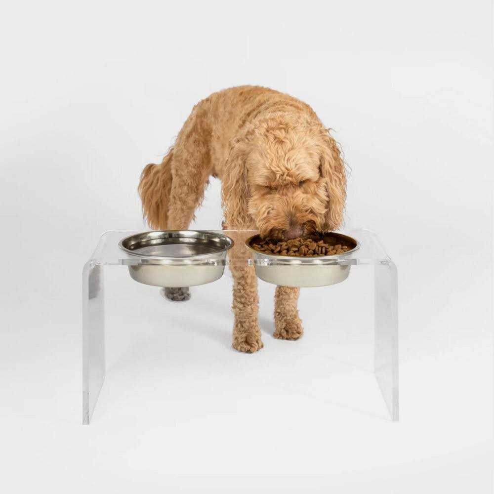 Clear Double Bowl Pet Feeder E38389