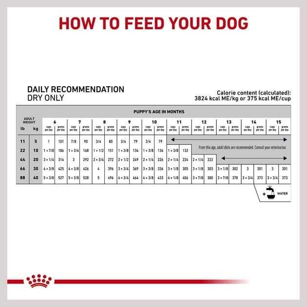 Hydrolyzed Protein Puppy Dry Dog Food D722743