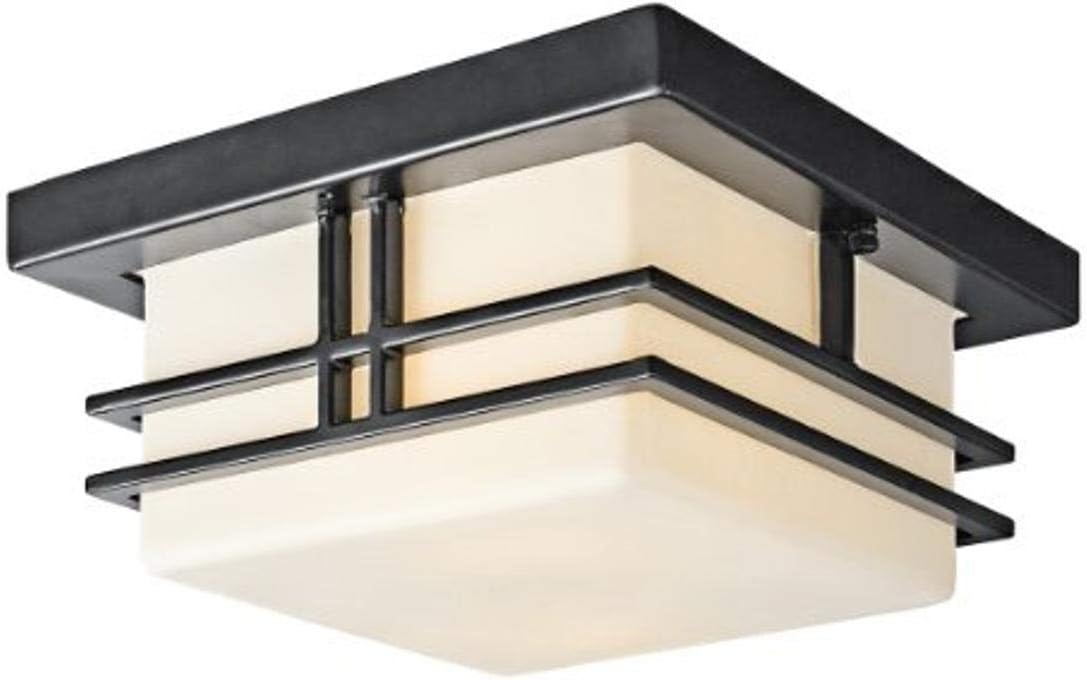 2 Light Black Outdoor Semi Flush Light U1531