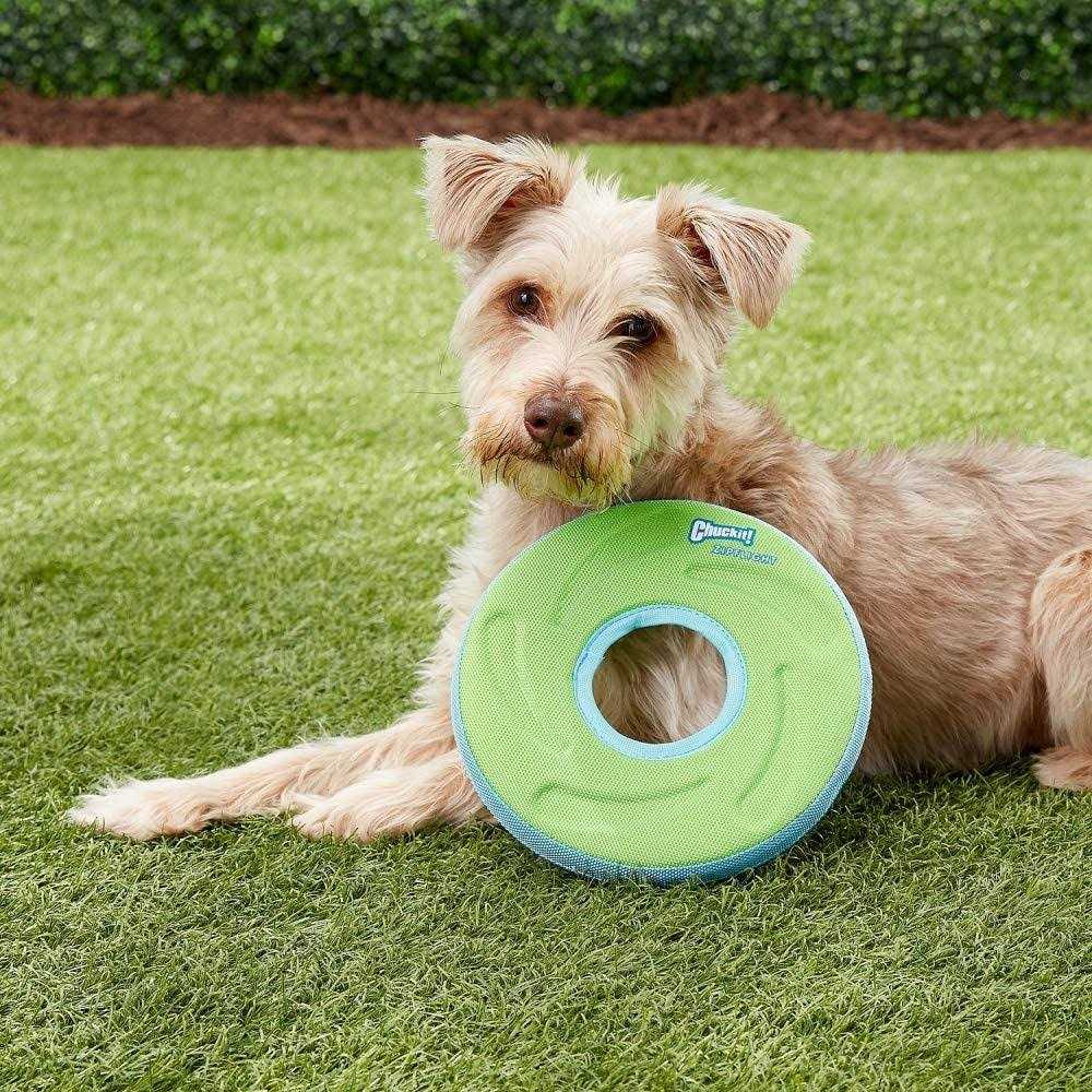 Dog Toy Y33206