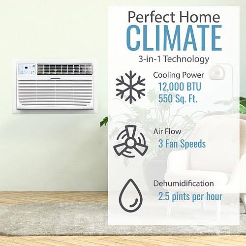12,000 BTU 115V Through-the-Wall Air Conditioner with Remote C5699
