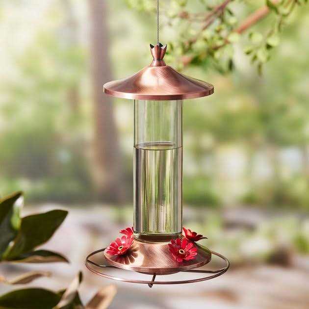 Hummingbird ElectroNectar B222683