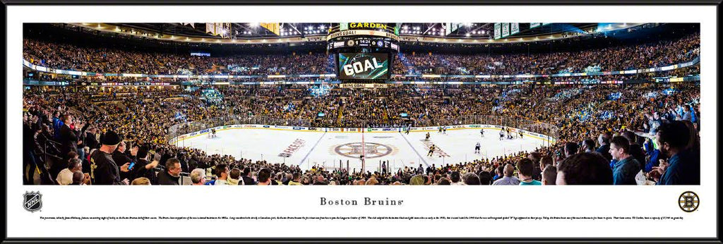 Framed Center Ice C6533