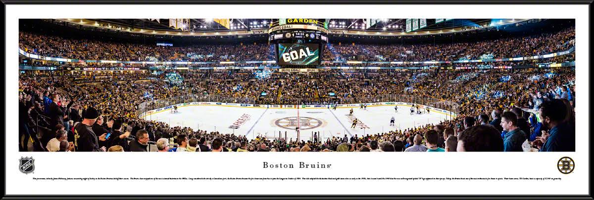 Framed Center Ice C6533