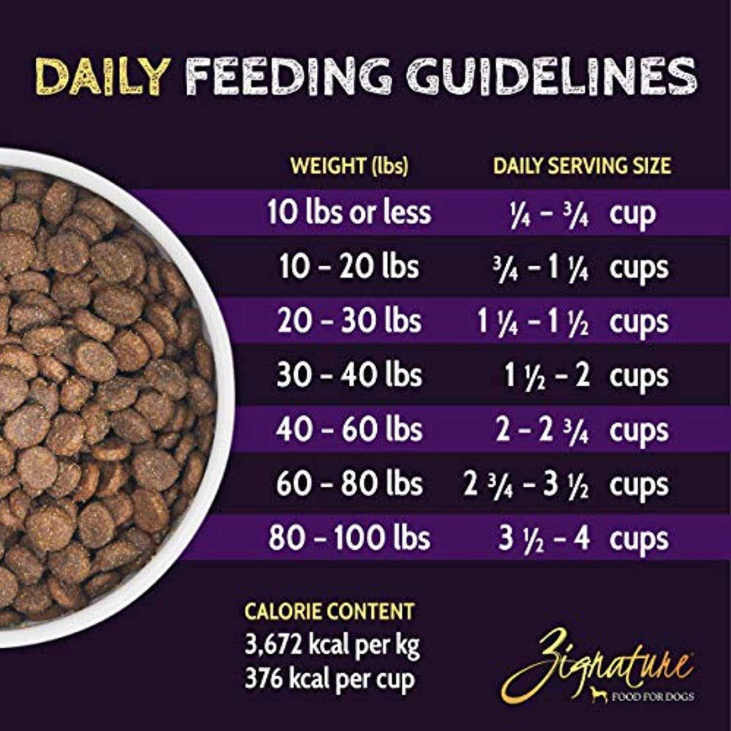 Trout & Salmon Formula Dry Dog Food P4154