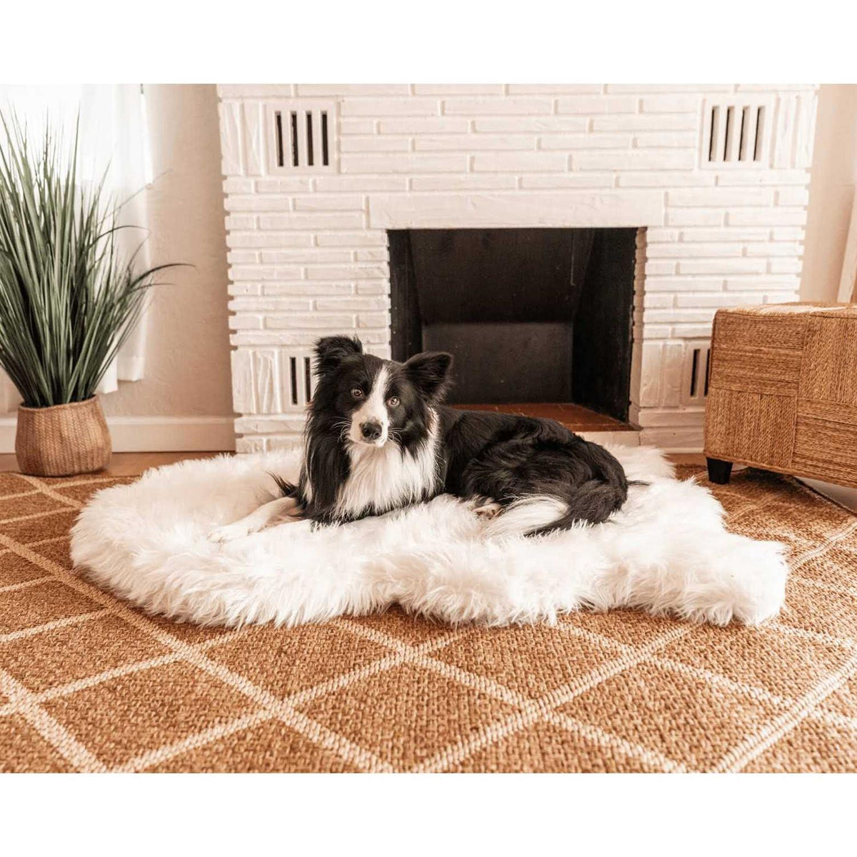 Faux Fur Orthopedic Dog Bed T284795