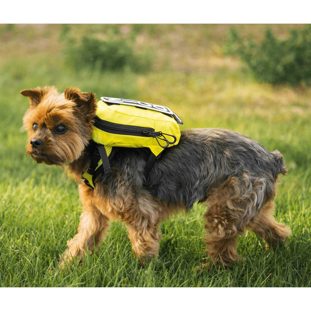 Pet Harness with Storage V3171