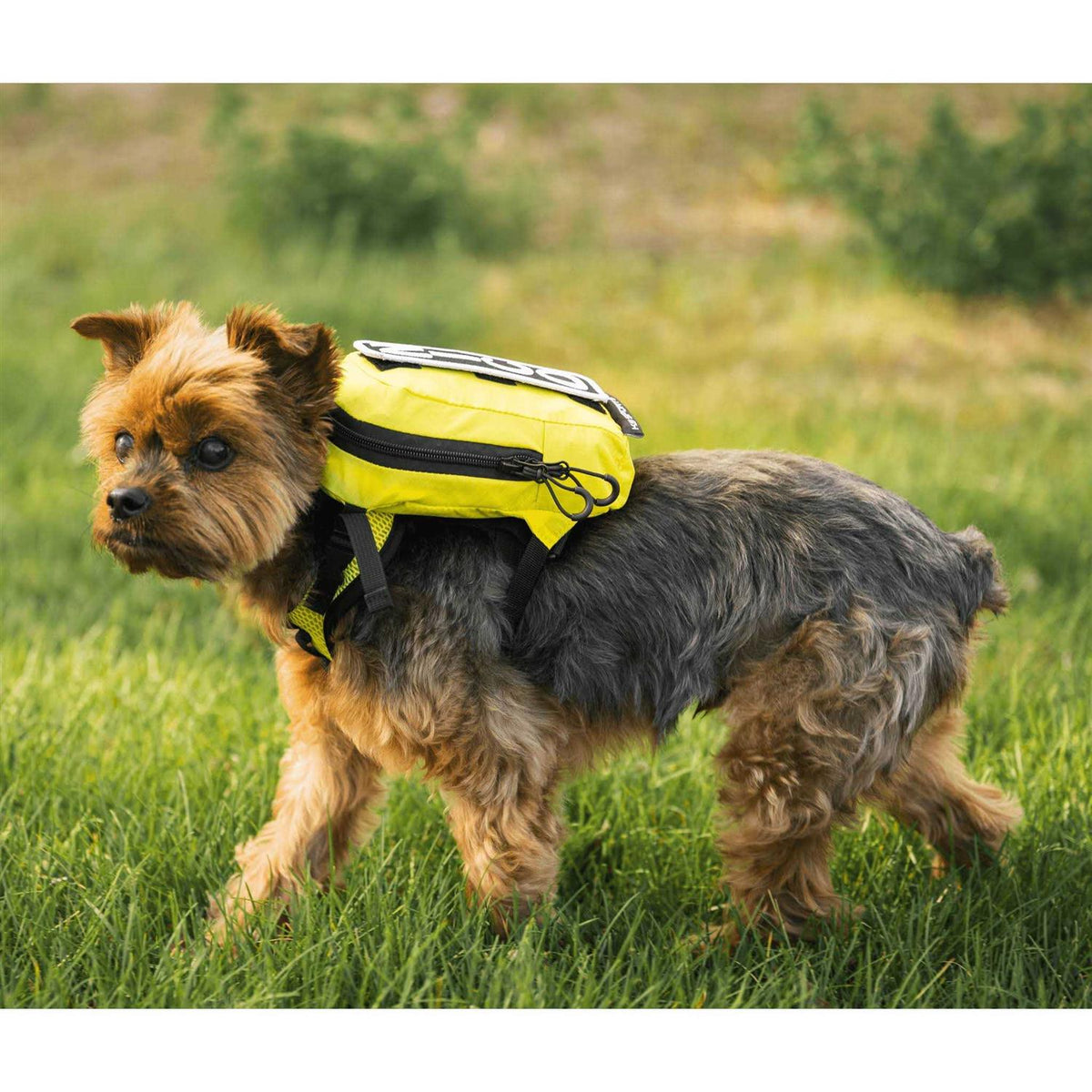 Pet Harness with Storage V3171