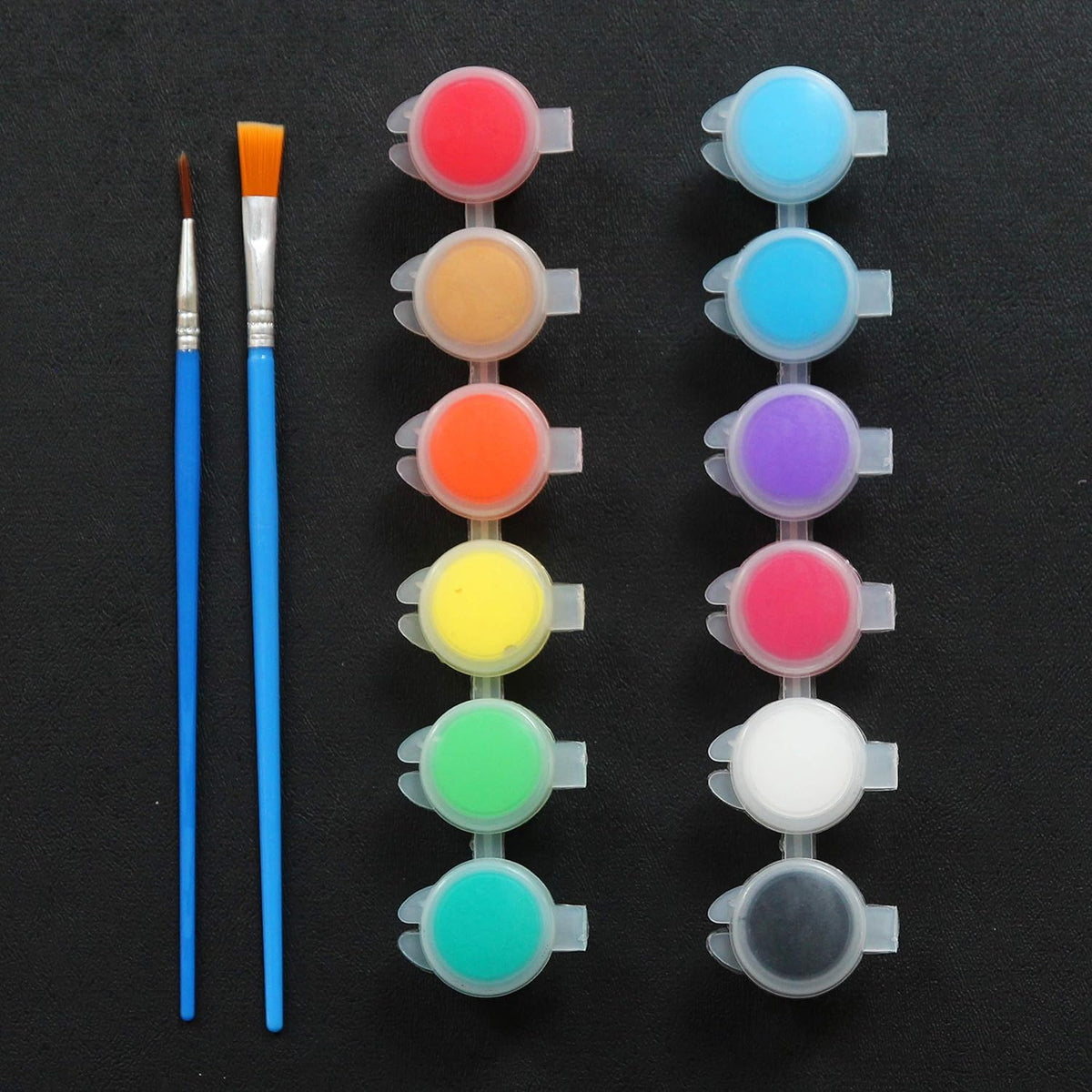 24 Pack Acrylic Paint Sets 12 Colors with 2 Brushes I601