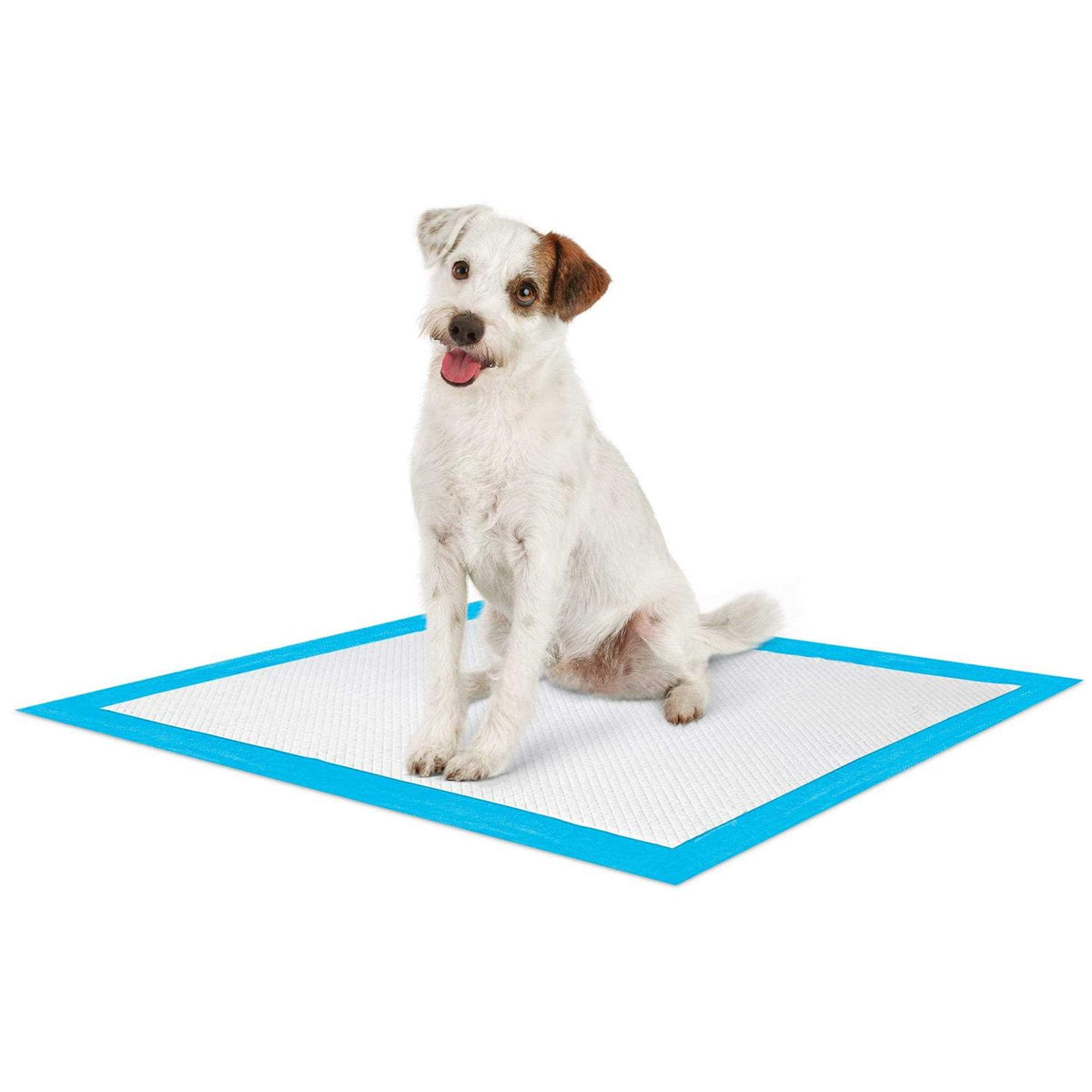 Large Quilted Potty Pads U6150