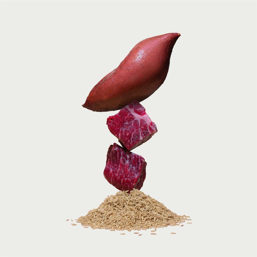 Brown Rice & Sweet Potato Dry Dog Food N12485