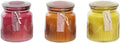 10X10X11 300 GR with Lid 3 Assorted J719790