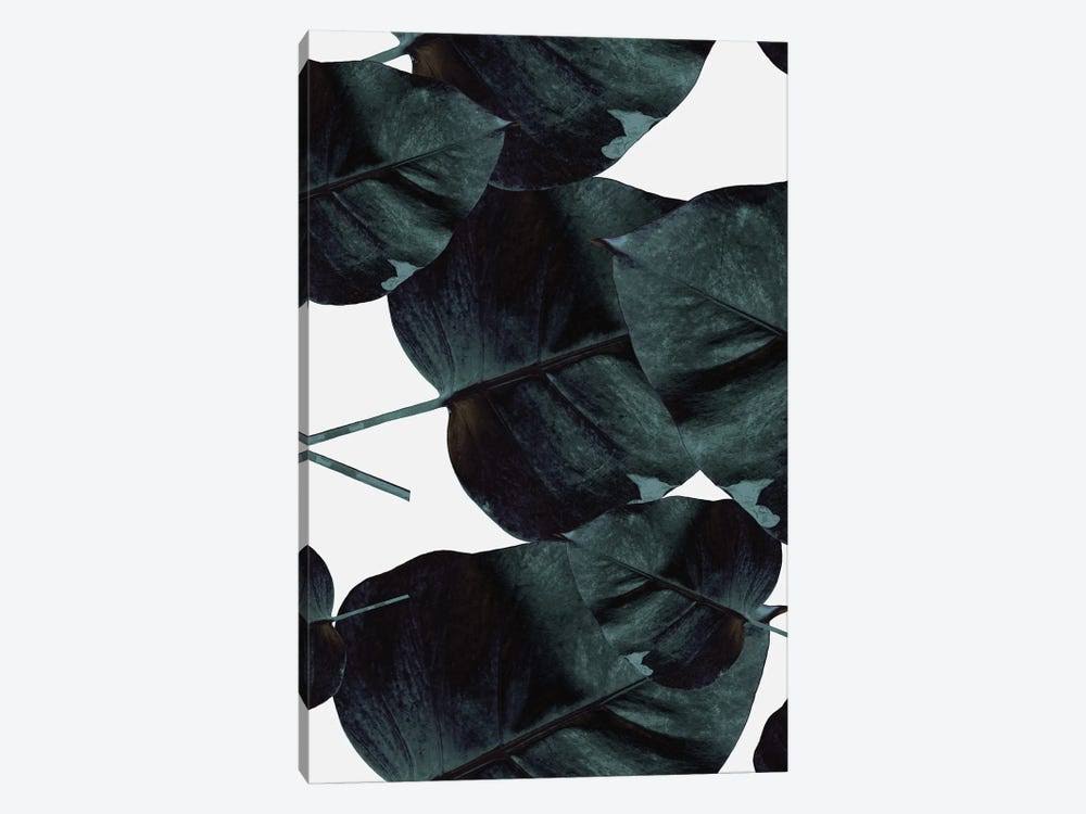 Canvas Wall Decor Prints Q963